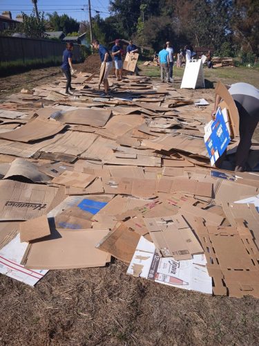 Cardboard paid out for weed barrier