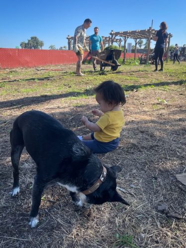 Dog and baby in the shade.