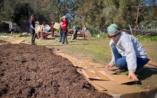 Volunteers laying out the cardboard