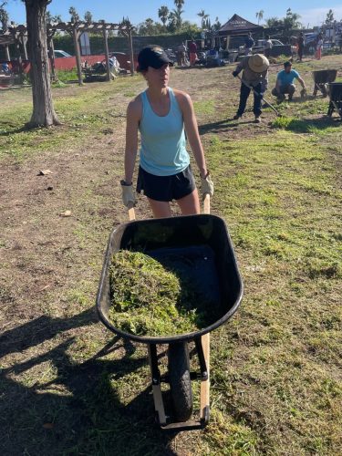 Volunteer moves weeds
